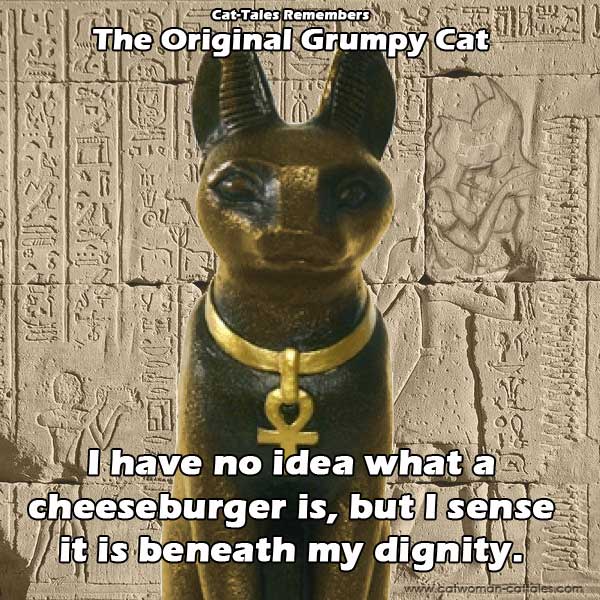 The Original Grumpy Cat